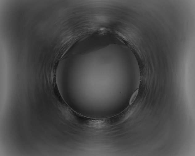 X0000088470139200705221410
