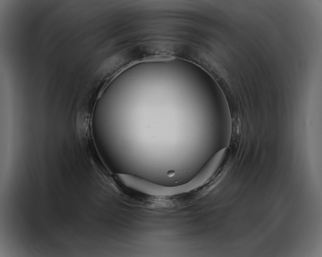 X0000088470141200705221410
