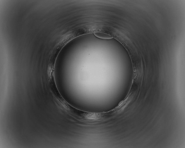 X0000088470142200705221410
