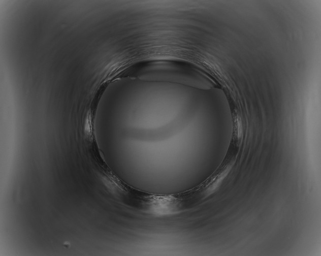 X0000088470143200705221410