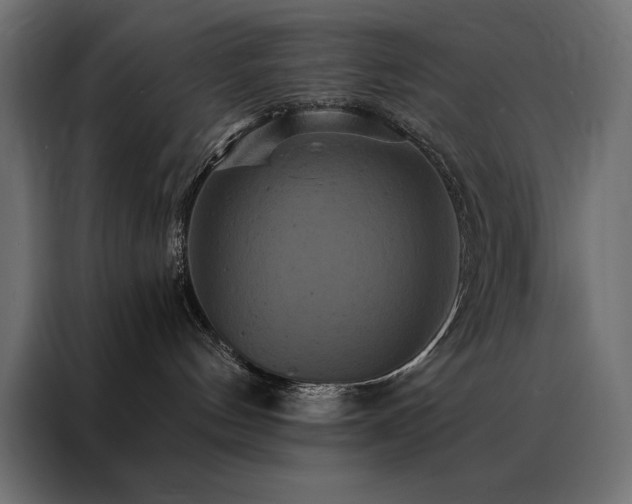 X0000088470144200705221410