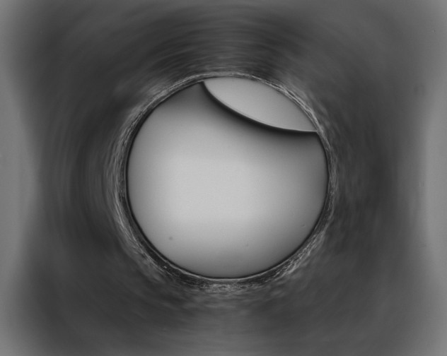 X0000088470145200705221410