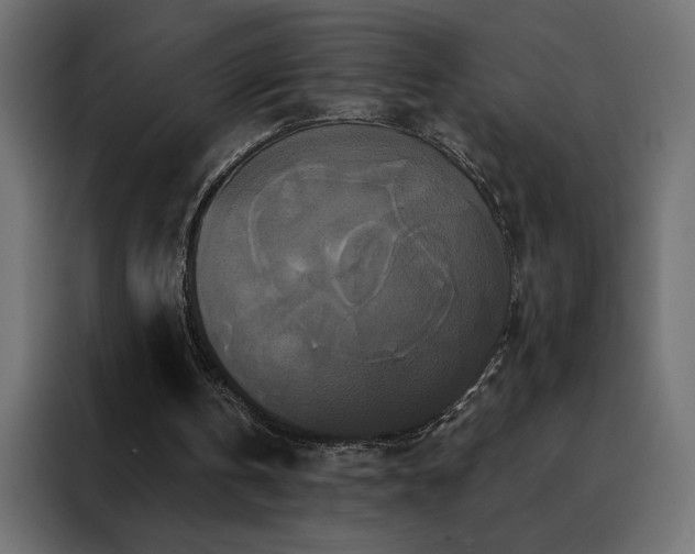 X0000088470146200705221410