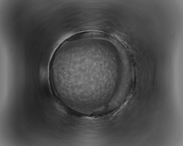 X0000088470148200705221410