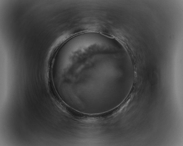 X0000088470149200705221410