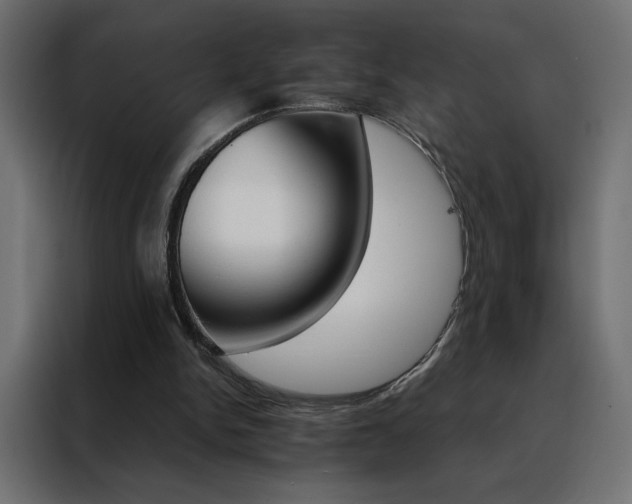 X0000088470150200705221410