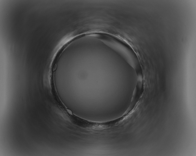 X0000088470152200705221410