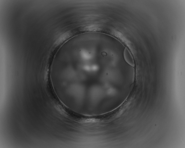 X0000088470153200705221410
