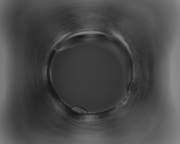 X0000088470154200705221410