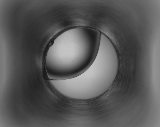 X0000088470156200705221410