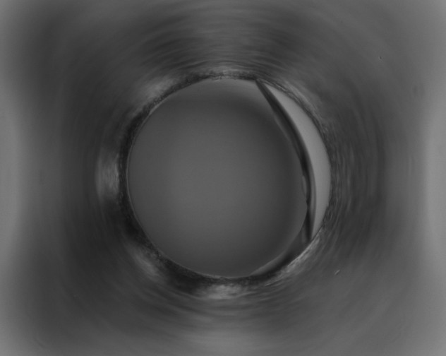 X0000088470158200705221410