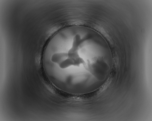 X0000088470159200705221410