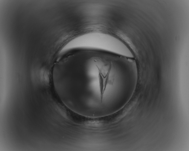 X0000088470161200705221410