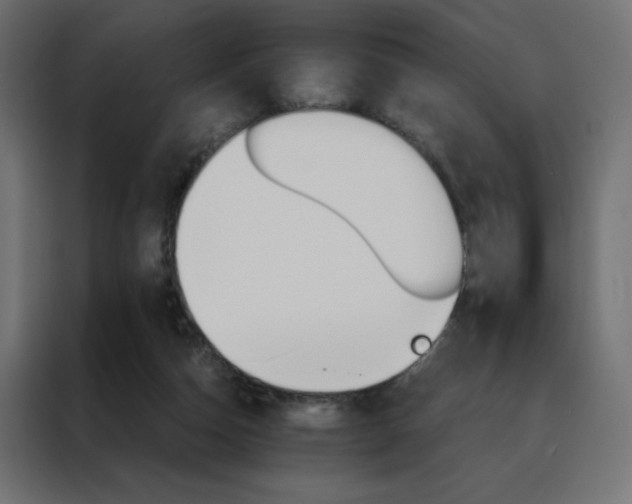 X0000088470162200705221410