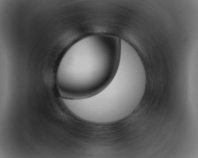 X0000088470164200705221410