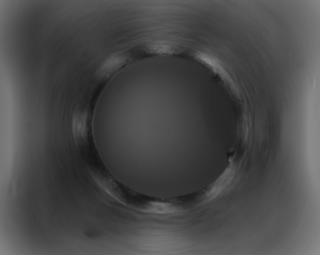 X0000088470167200705221410