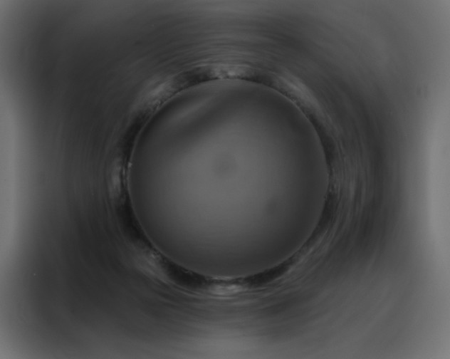 X0000088470169200705221410