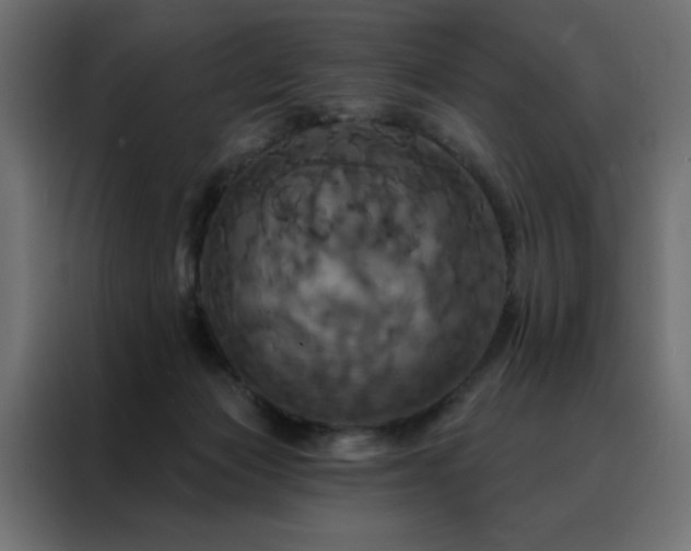 X0000088470173200705221410