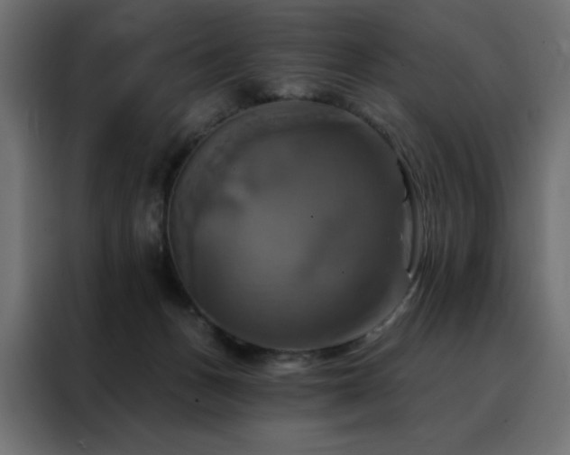 X0000088470175200705221410