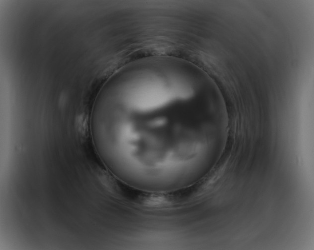 X0000088470177200705221410