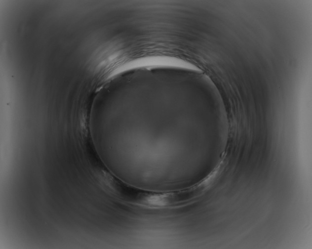 X0000088470178200705221410