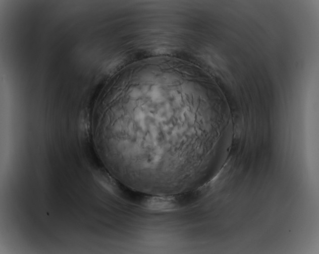 X0000088470179200705221410