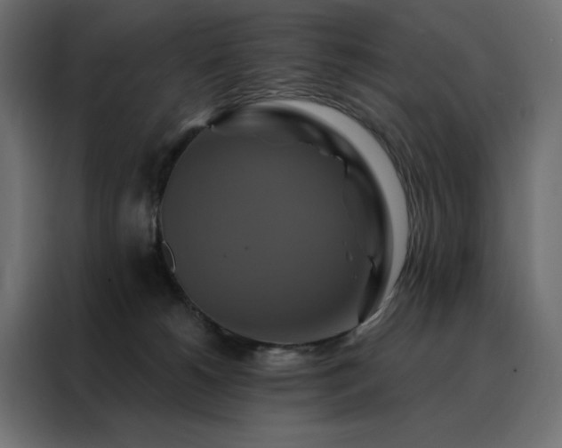 X0000088470180200705221410