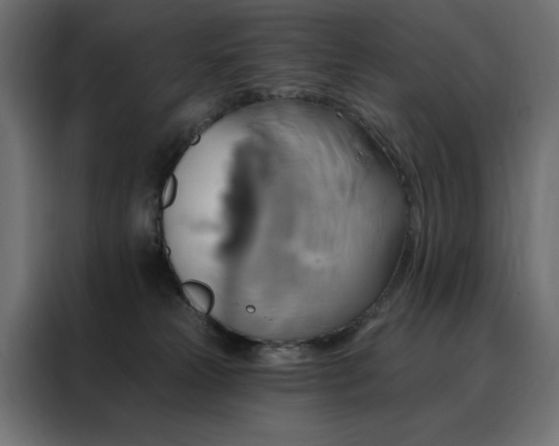 X0000088470181200705221410
