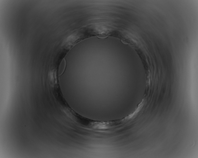 X0000088470182200705221410