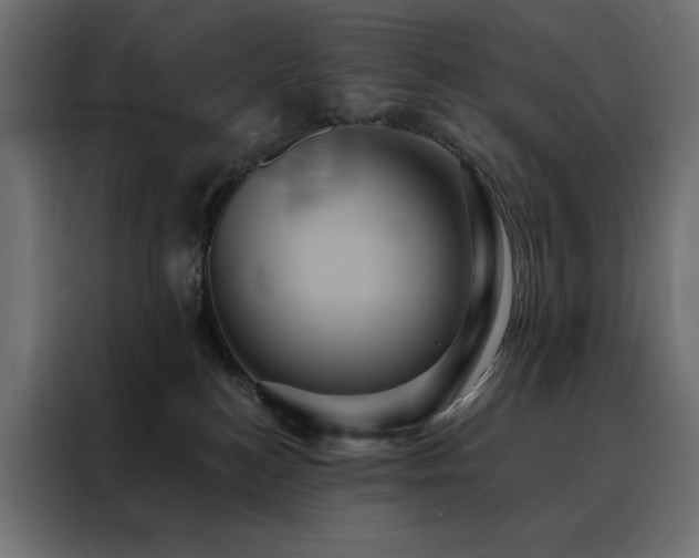 X0000088470184200705221410