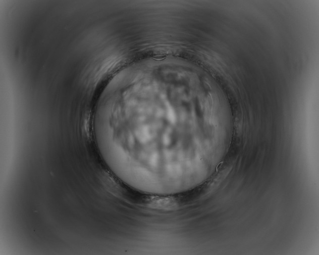 X0000088470185200705221410