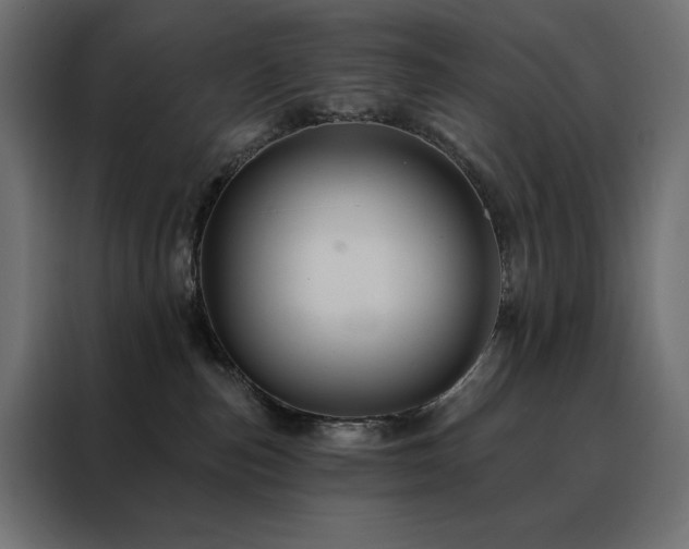 X0000088470187200705221410