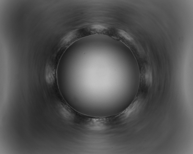 X0000088470188200705221410
