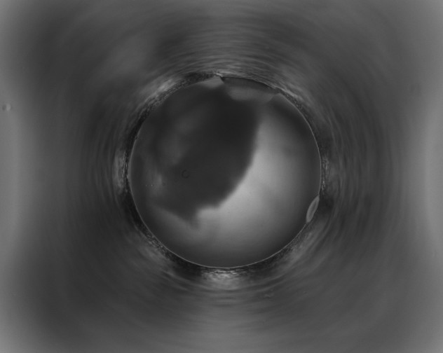 X0000088470189200705221410