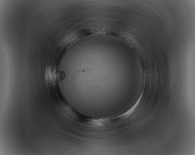 X0000088470190200705221410