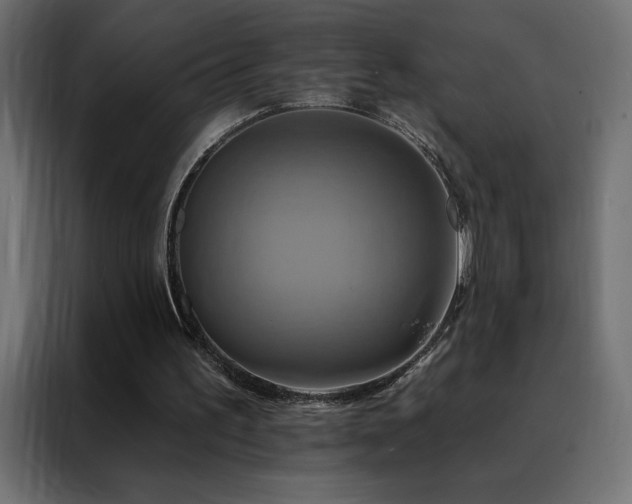 X0000088470195200705221410