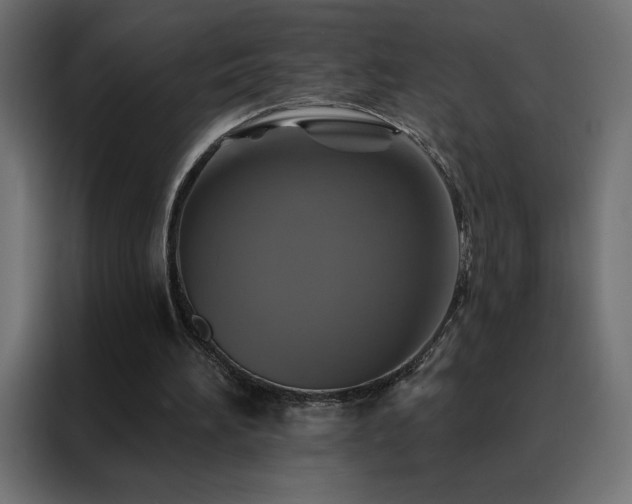 X0000088470196200705221410