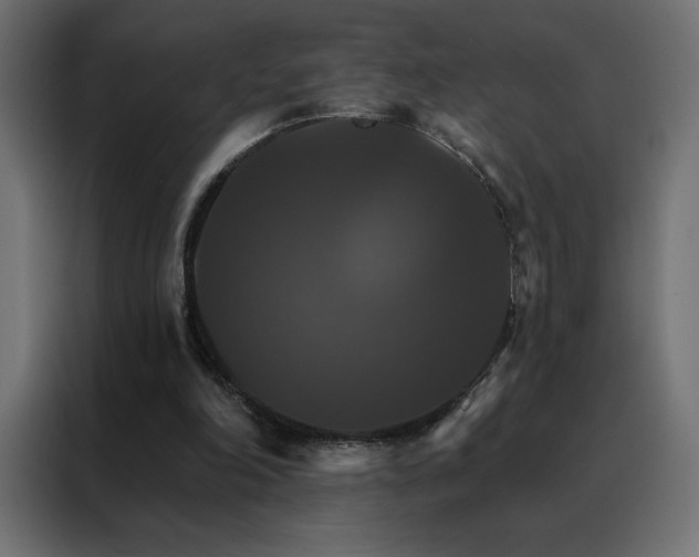 X0000088470198200705221410