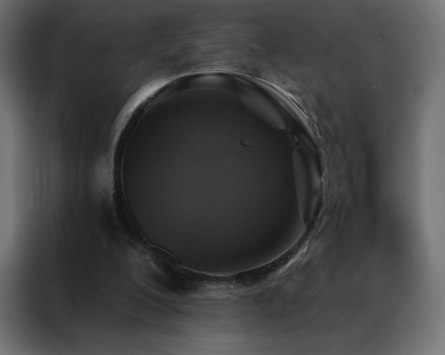 X0000088470200200705221410