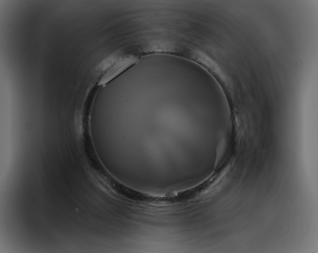 X0000088470203200705221410
