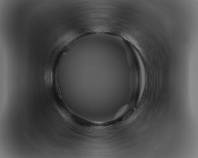 X0000088470205200705221410