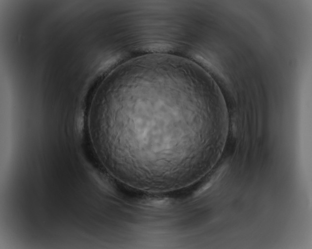 X0000088470206200705221410