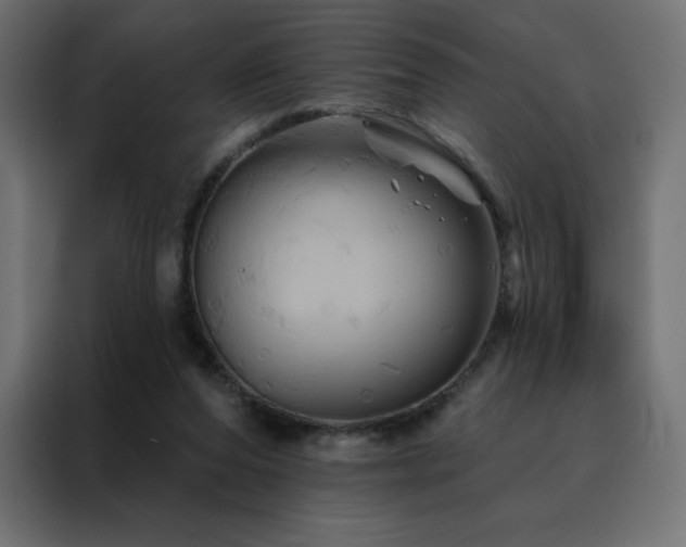 X0000088470208200705221410