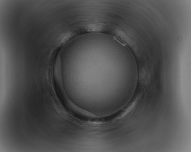 X0000088470209200705221410