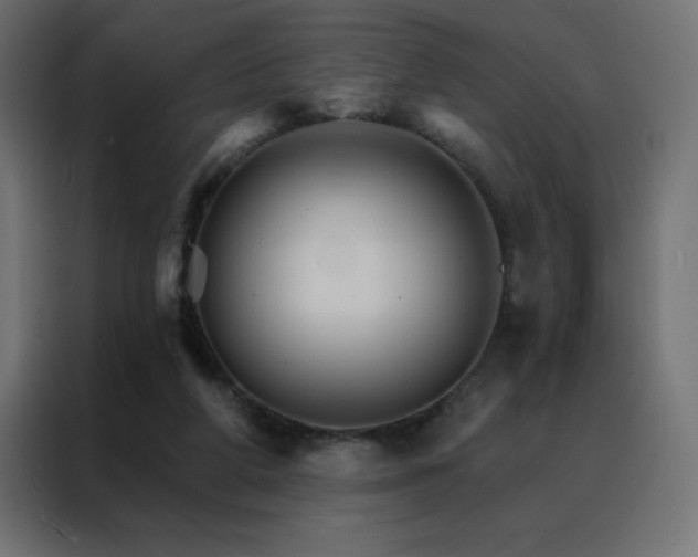 X0000088470210200705221410
