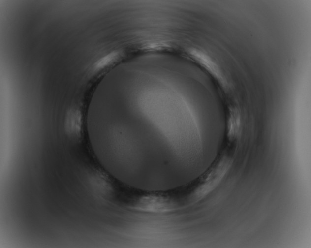 X0000088470211200705221409