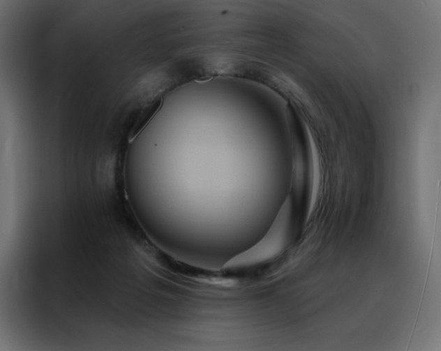 X0000088470217200705221409