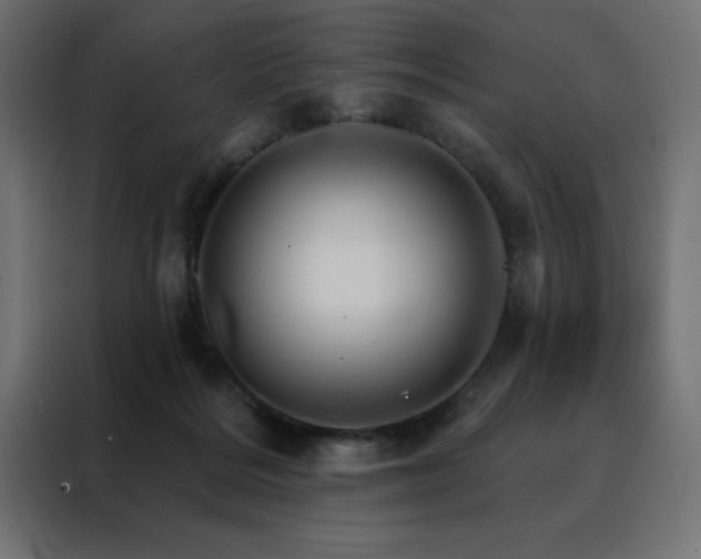 X0000088470220200705221409