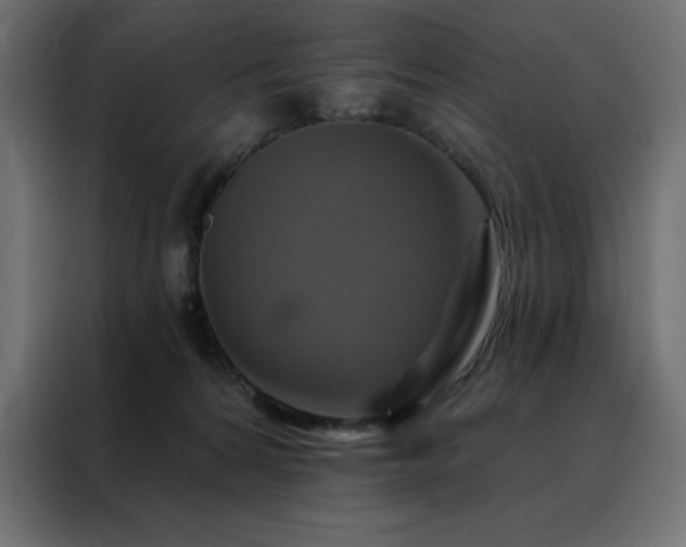 X0000088470224200705221409