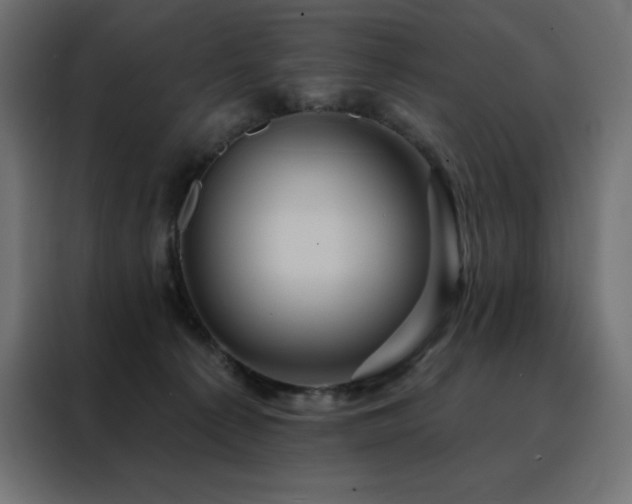 X0000088470225200705221409